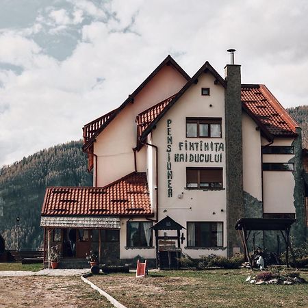 Pensiunea Fantanita haiducului Ciungetu Exterior foto